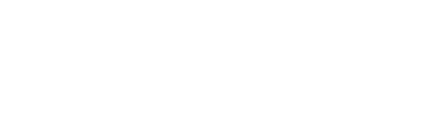Section 4 Image
